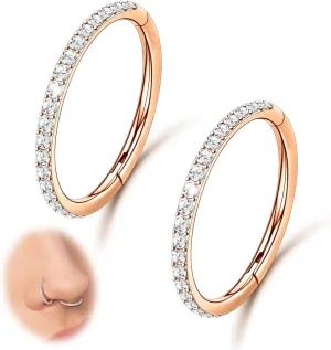 2PCS 20G 18G 16G Nose Ring Cartilage Hoop Earring Stainless Steel 4Colors Choose Hoop Earrings Hinged Segment Rings Septum Hoops Daith Conch Helix Tragus Piercing 6mm/7mm/8mm/9mm/10mm