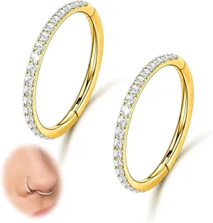 2PCS 20G 18G 16G Nose Ring Cartilage Hoop Earring Stainless Steel 4Colors Choose Hoop Earrings Hinged Segment Rings Septum Hoops Daith Conch Helix Tragus Piercing 6mm/7mm/8mm/9mm/10mm