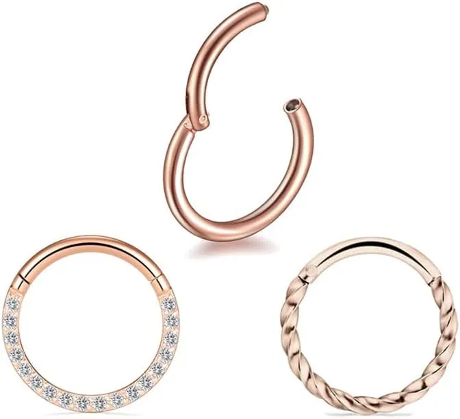 3Pcs 16G 8mm 10mm Hinged Clicker Segment CZ Twisted Clicker Nose Rings Hoop Helix Cartilage Daith Tragus Sleeper Earrings Body Piercing for Women Men Silver/Gold/Rose Gold