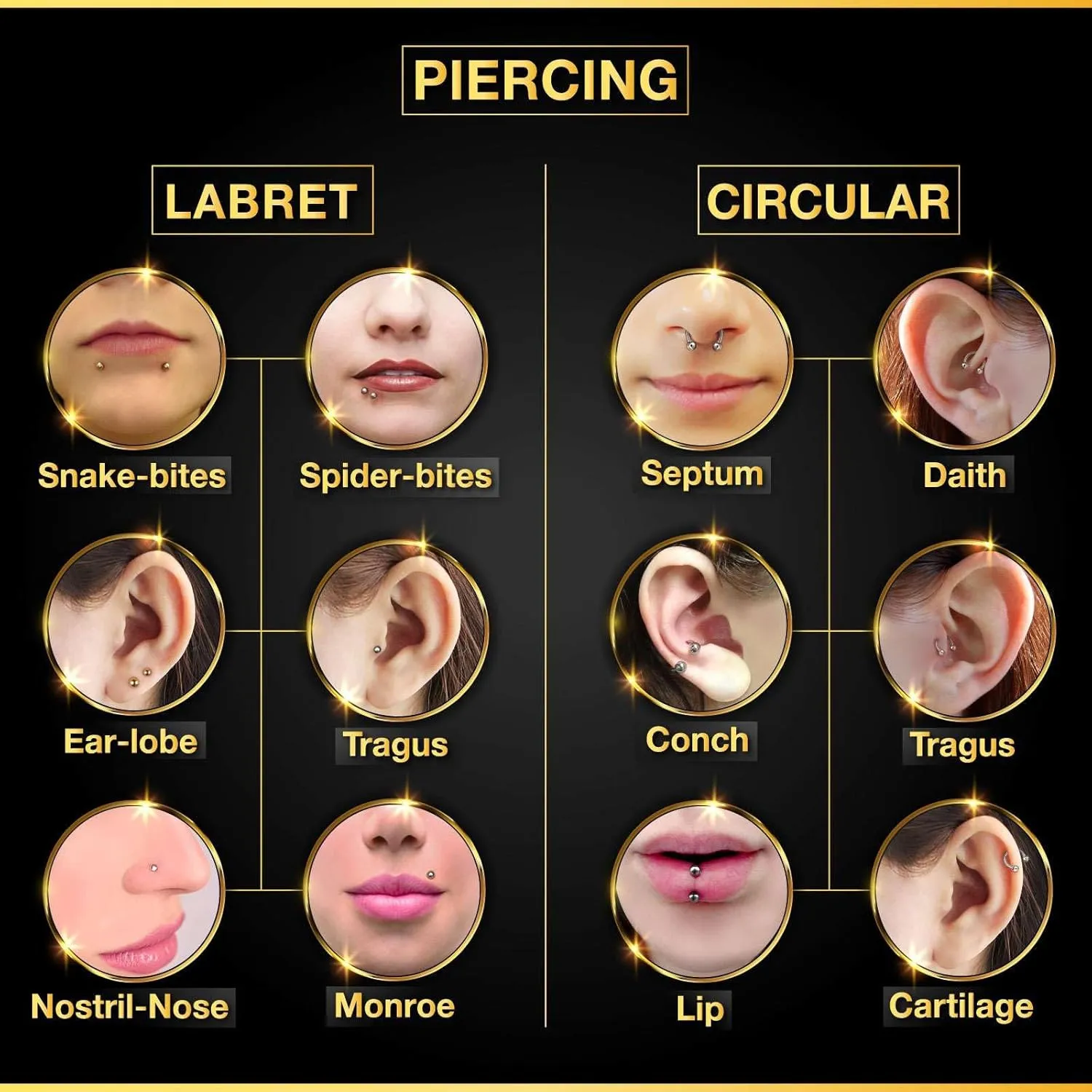 Bioplastic ear tragus earrings 16 Gauge Ball Eyebrow Helix Lobe Lip Earrings Cartilage Jewelry See More Sizes and Colors