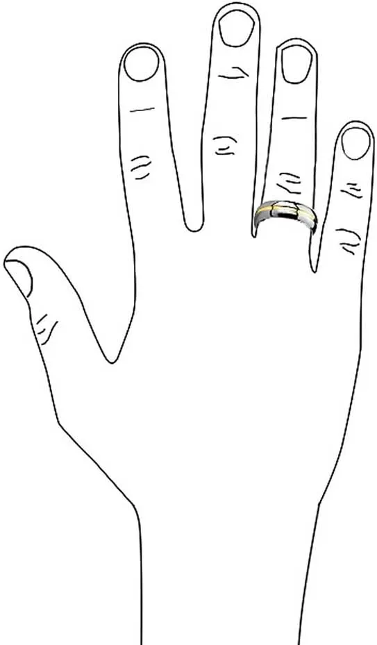 Bling Jewelry Two Tone Titanium Wedding Band With Golden Center Stripe 14K Gold Plated Ring For Men And Women Silver Tone 8MM