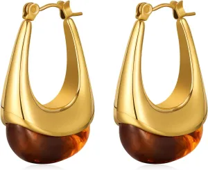 Brown Earrings Circle Chunky Earrings for Women Trendy 18K Gold Plated Stud Hoop Stainless Steel Hypoallergenic