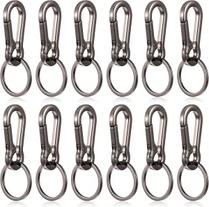cobee 12 Pcs Heavy Duty Metal Keychains, Zinc Alloy Carabiner Key Chain Clips Quick Release Car Keyring Holder Key Rings(Grey)