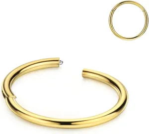 FANSING Nose Hoop 2 Pieces Surgical Steel Nose Rings for Women Cartilage Earring Hoop Men Hinged Septum Jewelry for Nostril Helix Tragus Daith Conch Lip Rook Ear Lobe Piercings