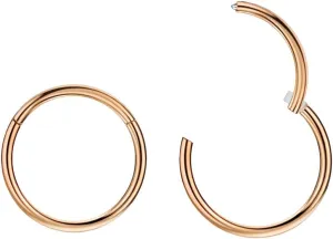 FANSING Nose Hoop 2 Pieces Surgical Steel Nose Rings for Women Cartilage Earring Hoop Men Hinged Septum Jewelry for Nostril Helix Tragus Daith Conch Lip Rook Ear Lobe Piercings