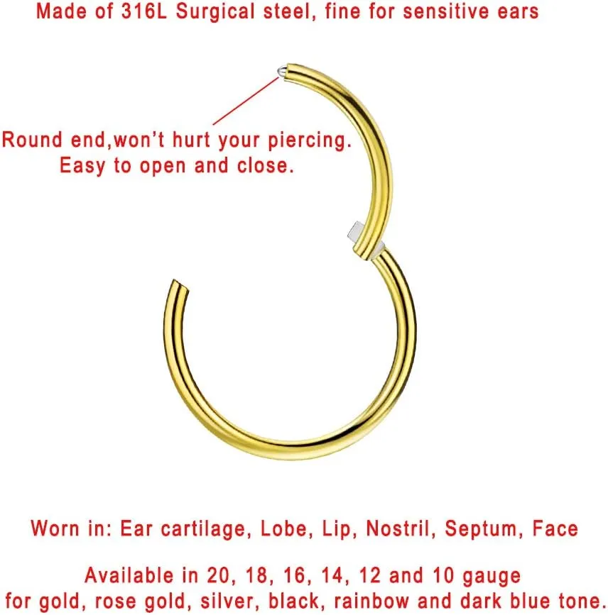 FANSING Nose Hoop 2 Pieces Surgical Steel Nose Rings for Women Cartilage Earring Hoop Men Hinged Septum Jewelry for Nostril Helix Tragus Daith Conch Lip Rook Ear Lobe Piercings