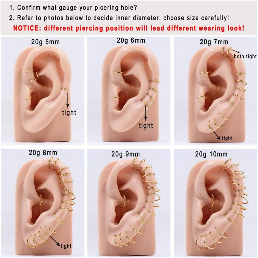 FANSING Nose Hoop 2 Pieces Surgical Steel Nose Rings for Women Cartilage Earring Hoop Men Hinged Septum Jewelry for Nostril Helix Tragus Daith Conch Lip Rook Ear Lobe Piercings