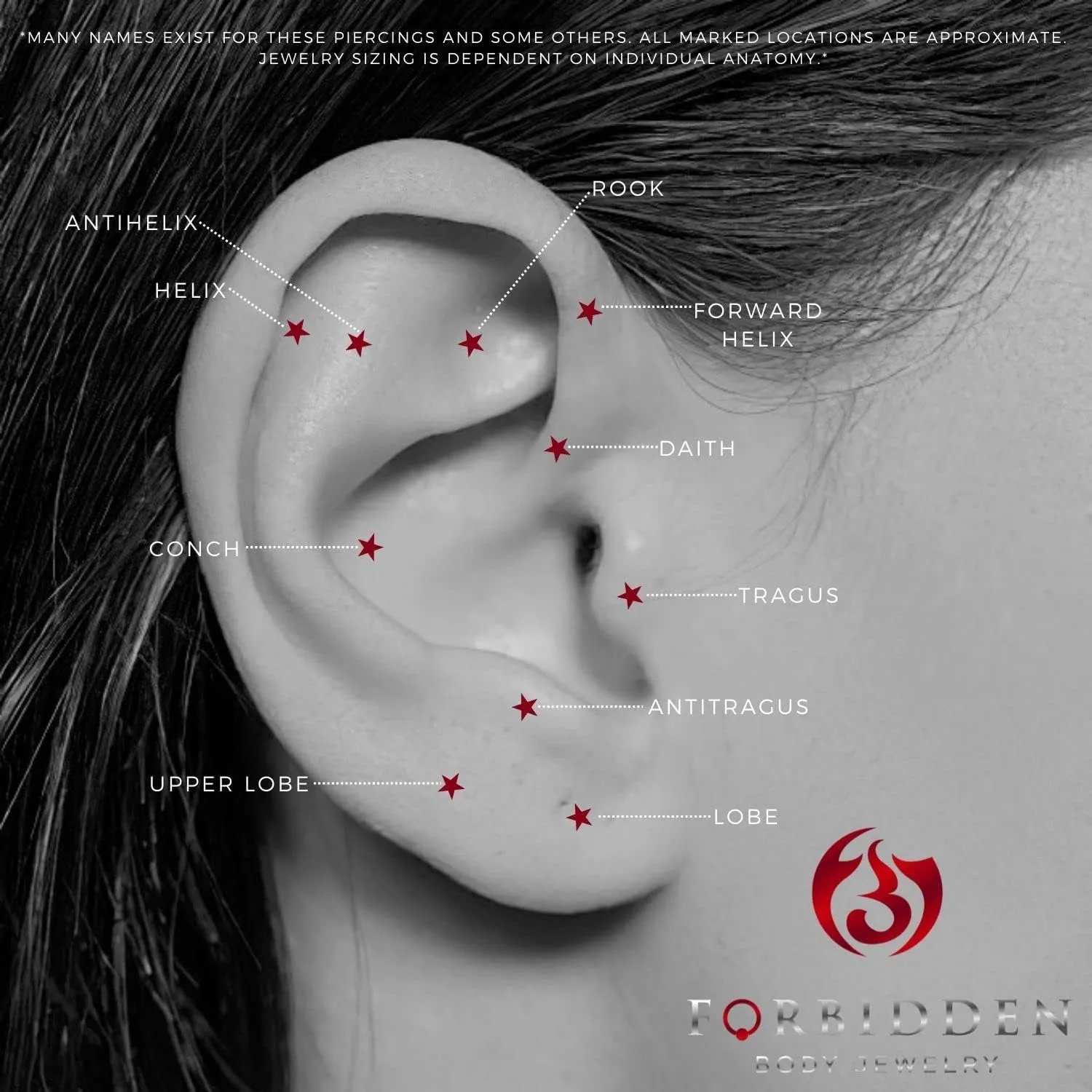 Forbidden Body Jewelry 16G Surgical Steel Curved Barbells for Eyebrow/Rook/Daith Piercing and More (5-Pack 8mm)