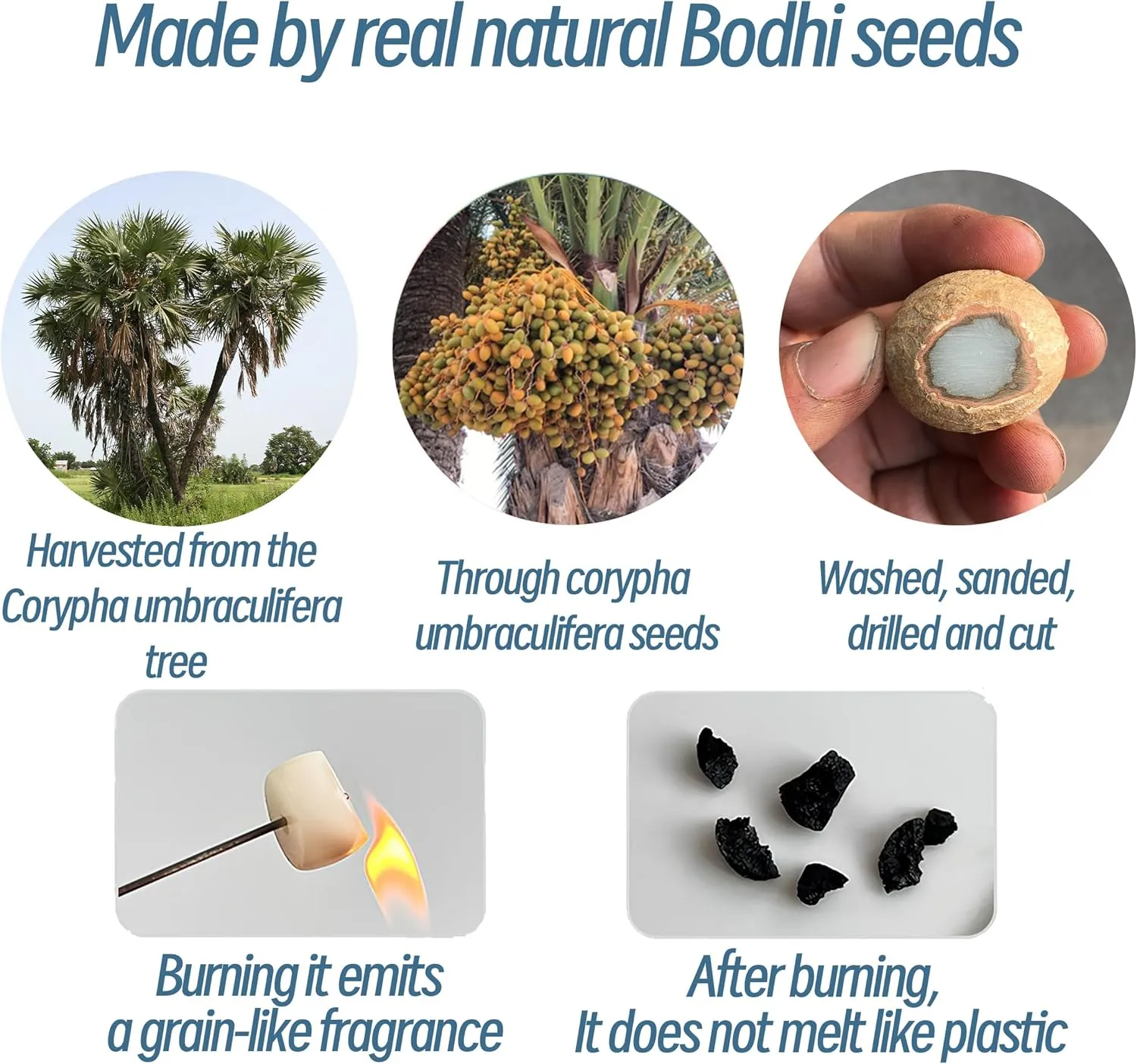 Natural Bodhi Seeds Beaded Bracelets, Zen Fidget Stretch Bracelet Alleviate Anxiety Stress, Protection Healing Bodhi Bracelet with Gift Box for Women Men