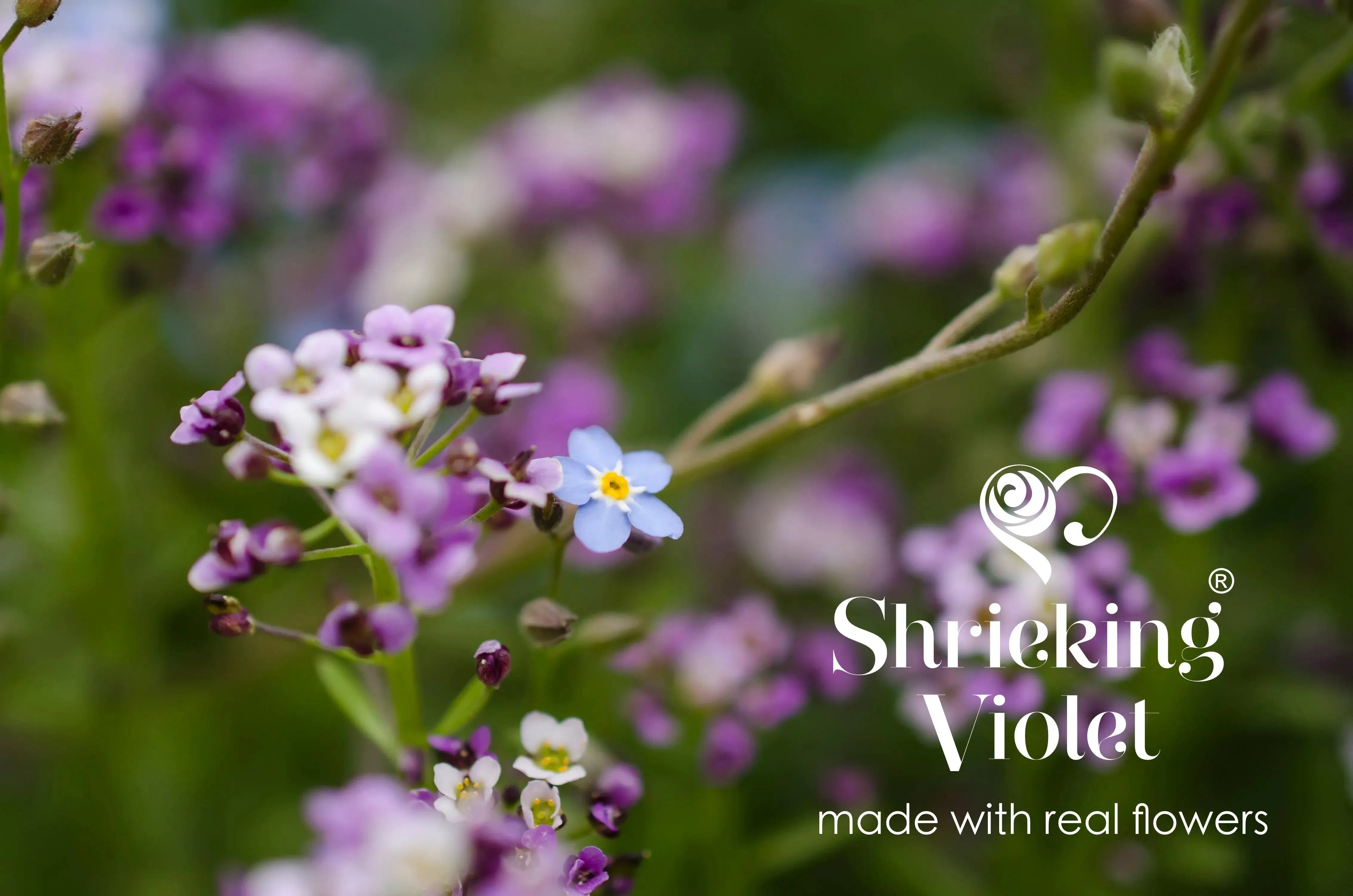 Sterling Silver Purple Haze xs Teardrop Pendant - Handmade with Real Flowers