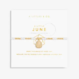 The June Birthstone Stretch Bracelet in Moonstone