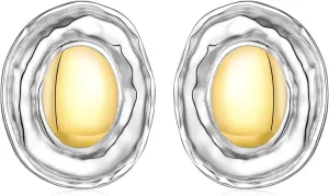 Vintage Gold and Silver Colors Earrings Fashion Geometric Stainless Steel Earrings for Women